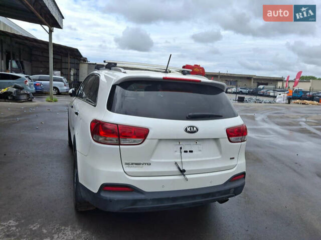 Киа Соренто 2016 в Киеве на Automoto.ua Белый Киа Соренто, объемом двигателя 2.36 л и пробегом 118 тыс. км за 16700 $, фото 14 на Automoto.ua