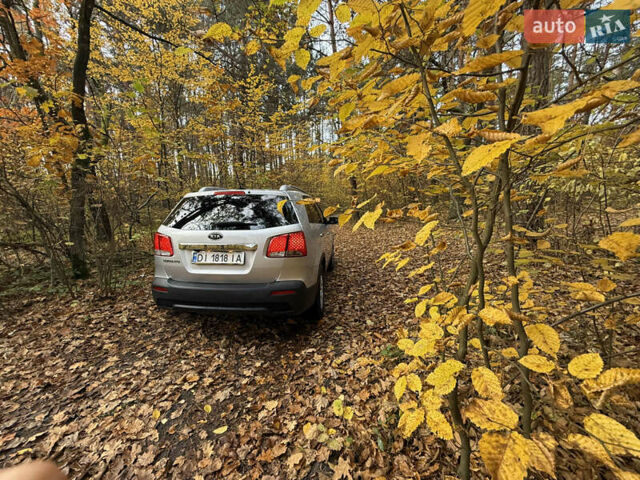 Киа Соренто 2010 в Львове на Automoto.ua Серый Киа Соренто, объемом двигателя 2.36 л и пробегом 190 тыс. км за 9500 $, фото 19 на Automoto.ua