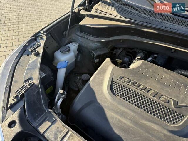 Кіа Соренто 2013 у Чернівцях на Automoto.ua Сірий Кіа Соренто, об'ємом двигуна 2.2 л та пробігом 216 тис. км за 15800 $, фото 51 на Automoto.ua