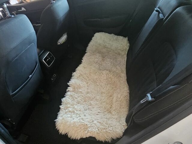 Белый Киа Sportage, объемом двигателя 1.7 л и пробегом 165 тыс. км за 14500 $, фото 4 на Automoto.ua