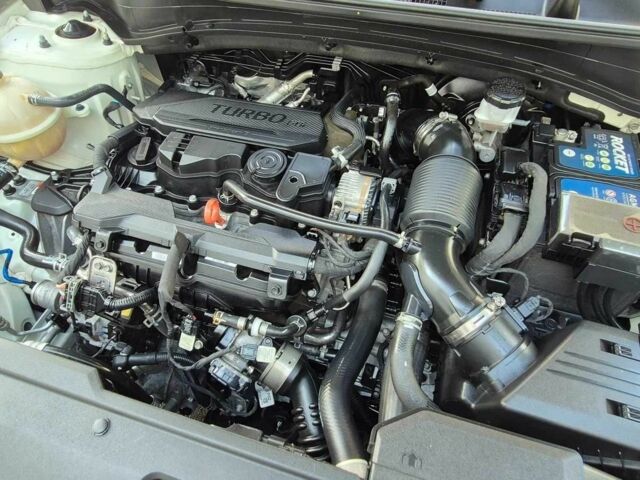 Белый Киа Sportage, объемом двигателя 2 л и пробегом 38 тыс. км за 18000 $, фото 14 на Automoto.ua