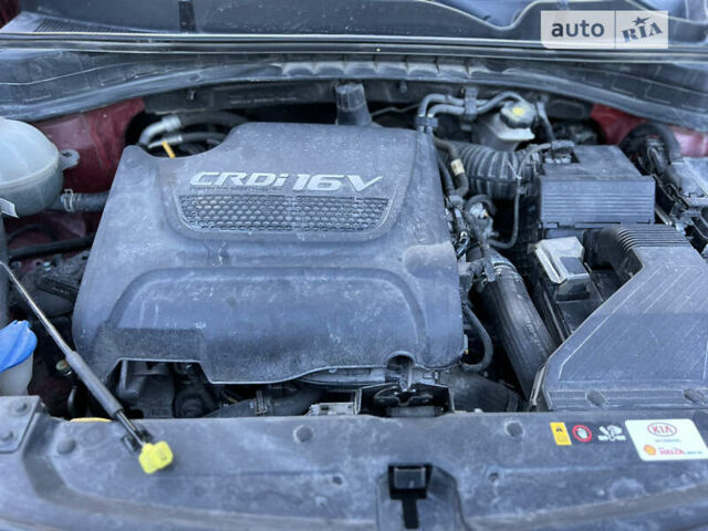 Красный Киа Sportage, объемом двигателя 2 л и пробегом 130 тыс. км за 19300 $, фото 10 на Automoto.ua