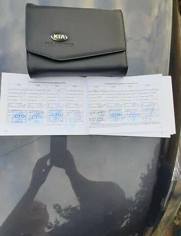 Серый Киа Sportage, объемом двигателя 1.69 л и пробегом 195 тыс. км за 15000 $, фото 11 на Automoto.ua