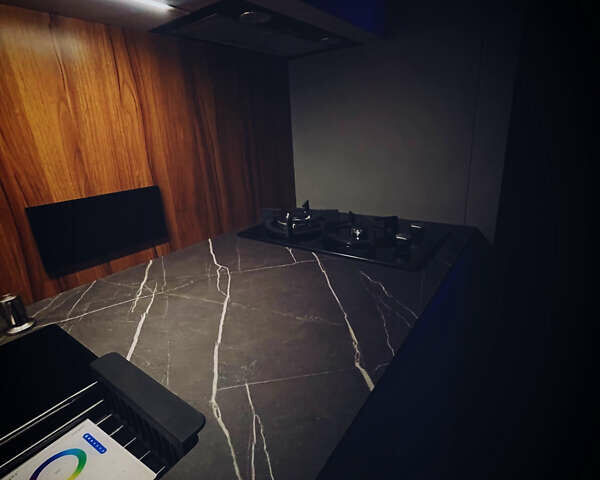 Кинг Кинг, объемом двигателя 0 л и пробегом 1 тыс. км за 74950 $, фото 11 на Automoto.ua