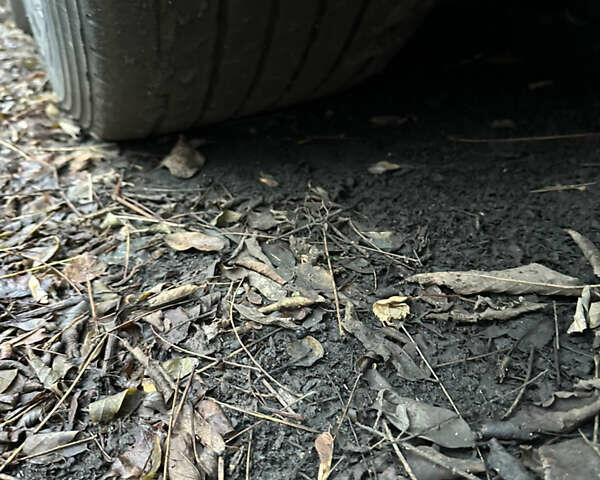 Чорний Когель САФ, об'ємом двигуна 0 л та пробігом 700 тис. км за 7500 $, фото 8 на Automoto.ua