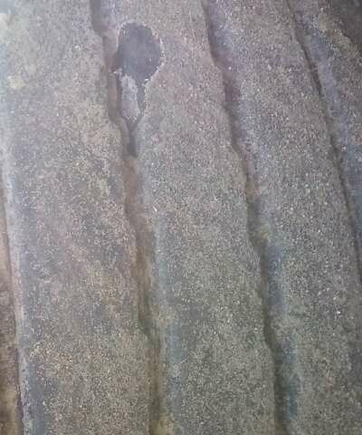 Черный Когель САФ, объемом двигателя 0 л и пробегом 0 тыс. км за 9200 $, фото 7 на Automoto.ua