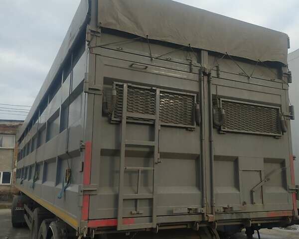 Когель SN24, об'ємом двигуна 0 л та пробігом 20 тис. км за 11000 $, фото 1 на Automoto.ua