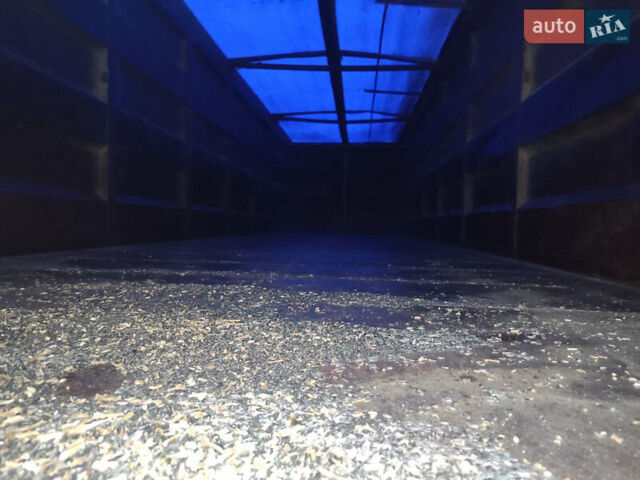 Когель SN 24, объемом двигателя 0 л и пробегом 0 тыс. км за 15500 $, фото 2 на Automoto.ua