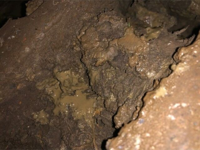 Коматсу Другая, об'ємом двигуна 0 л та пробігом 0 тис. км за 71543 $, фото 9 на Automoto.ua