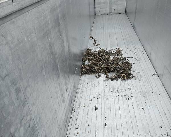 КрАЗ 255Б1, об'ємом двигуна 14.86 л та пробігом 400 тис. км за 17500 $, фото 7 на Automoto.ua