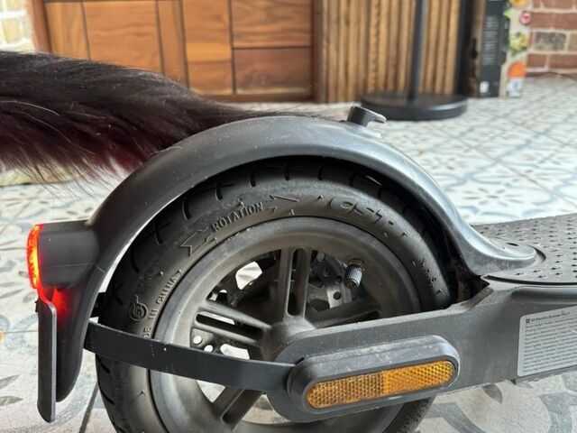 КрАЗ 255Б1, об'ємом двигуна 14.86 л та пробігом 0 тис. км за 322 $, фото 4 на Automoto.ua