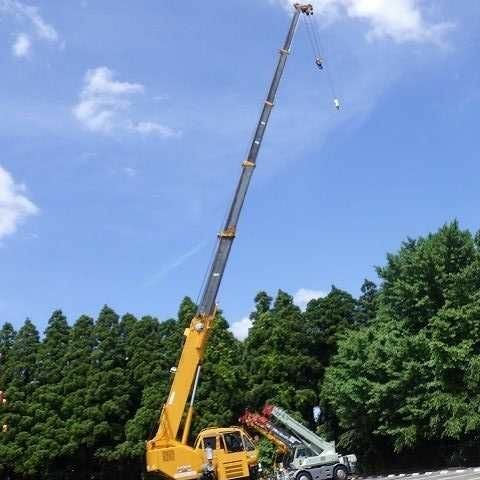 КрАЗ 6510, объемом двигателя 14.86 л и пробегом 0 тыс. км за 87500 $, фото 7 на Automoto.ua