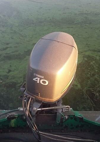 Зеленый Крым Крым, объемом двигателя 40 л и пробегом 100 тыс. км за 4000 $, фото 8 на Automoto.ua