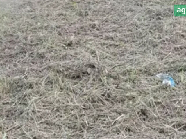 Кубота ГЛ, объемом двигателя 1.4 л и пробегом 0 тыс. км за 6900 $, фото 6 на Automoto.ua