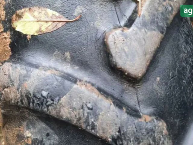 ЛТЗ Т-40, объемом двигателя 4.15 л и пробегом 0 тыс. км за 2800 $, фото 2 на Automoto.ua