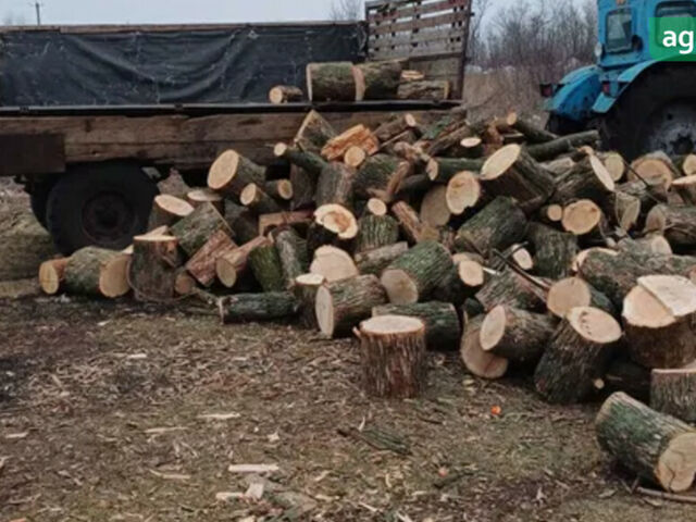 ЛТЗ Т-40АМ, объемом двигателя 4.15 л и пробегом 0 тыс. км за 4000 $, фото 6 на Automoto.ua