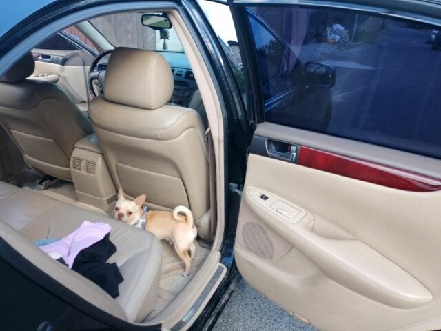 Черный Лексус ЕС, объемом двигателя 3 л и пробегом 230 тыс. км за 6000 $, фото 10 на Automoto.ua