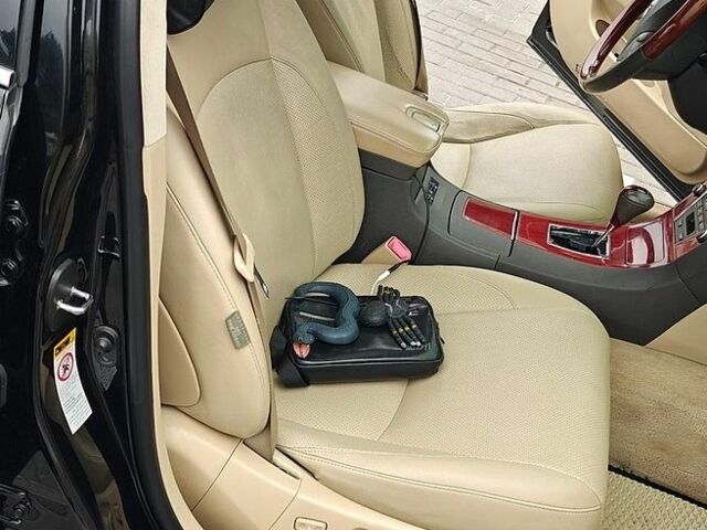 Черный Лексус ЕС, объемом двигателя 3.46 л и пробегом 293 тыс. км за 7950 $, фото 10 на Automoto.ua