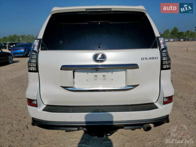 Лексус ГХ, об'ємом двигуна 0 л та пробігом 24 тис. км за 38700 $, фото 2 на Automoto.ua