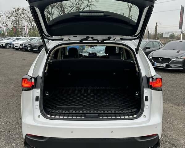 Белый Лексус НХ, объемом двигателя 1.99 л и пробегом 213 тыс. км за 19900 $, фото 13 на Automoto.ua