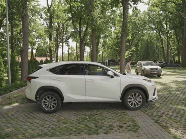 Білий Лексус НХ, об'ємом двигуна 2 л та пробігом 65 тис. км за 27900 $, фото 3 на Automoto.ua