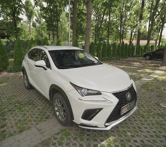 Білий Лексус НХ, об'ємом двигуна 2 л та пробігом 65 тис. км за 32000 $, фото 6 на Automoto.ua