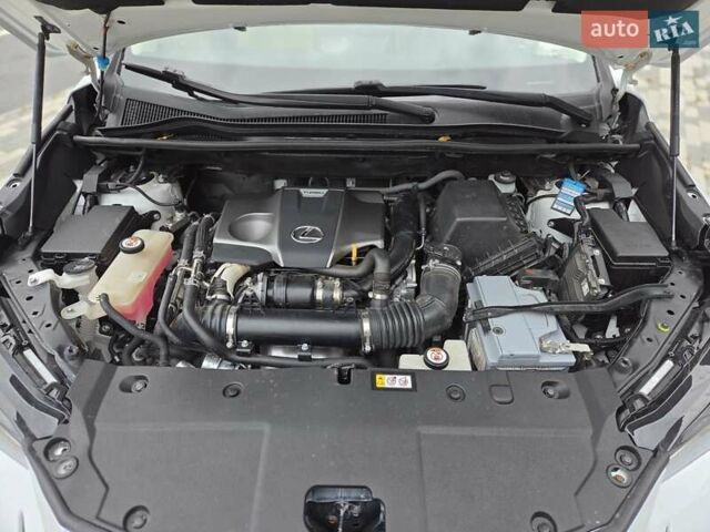 Лексус НХ 2020 у Львові на Automoto.ua Білий Лексус НХ, об'ємом двигуна 2 л та пробігом 26 тис. км за 23800 $, фото 33 на Automoto.ua