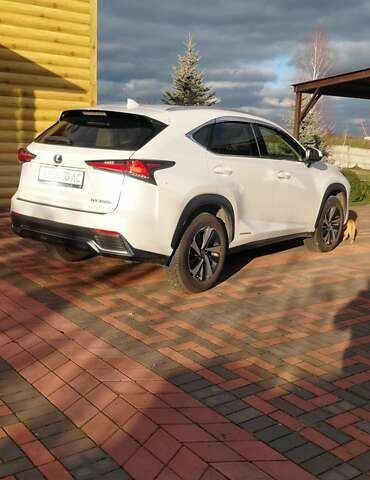 Белый Лексус НХ, объемом двигателя 2.49 л и пробегом 38 тыс. км за 39900 $, фото 10 на Automoto.ua