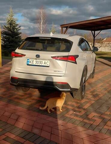 Белый Лексус НХ, объемом двигателя 2.49 л и пробегом 38 тыс. км за 39900 $, фото 9 на Automoto.ua