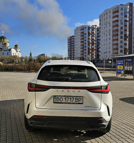 Белый Лексус НХ, объемом двигателя 1.99 л и пробегом 52 тыс. км за 42000 $, фото 12 на Automoto.ua