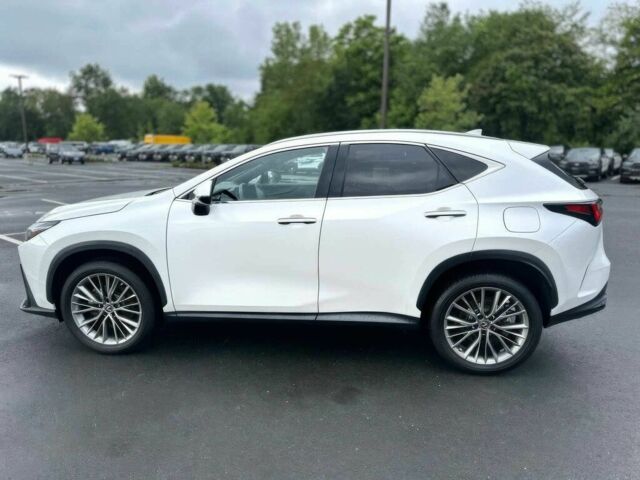 Білий Лексус НХ, об'ємом двигуна 2.4 л та пробігом 10 тис. км за 19000 $, фото 3 на Automoto.ua