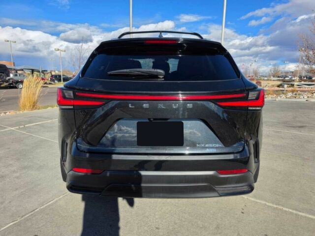 Черный Лексус НХ, объемом двигателя 2.5 л и пробегом 11 тыс. км за 24000 $, фото 6 на Automoto.ua