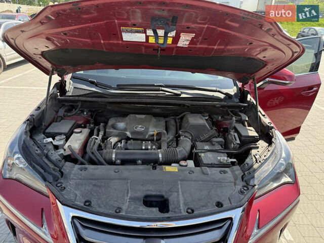 Лексус НХ 2014 в Львове на Automoto.ua Красный Лексус НХ, объемом двигателя 2 л и пробегом 195 тыс. км за 22200 $, фото 6 на Automoto.ua