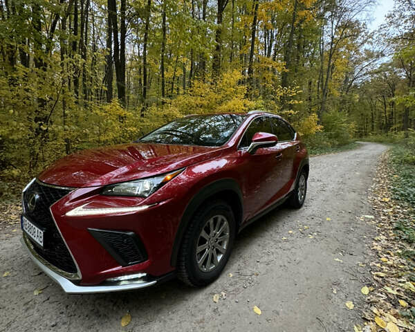 Червоний Лексус НХ, об'ємом двигуна 2 л та пробігом 68 тис. км за 25700 $, фото 2 на Automoto.ua