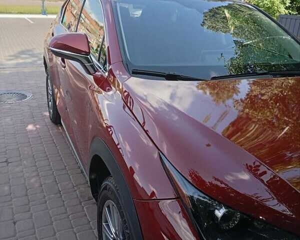 Красный Лексус НХ, объемом двигателя 2 л и пробегом 25 тыс. км за 28000 $, фото 13 на Automoto.ua