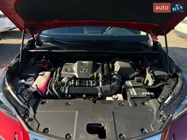 Красный Лексус НХ, объемом двигателя 2 л и пробегом 7 тыс. км за 35000 $, фото 33 на Automoto.ua