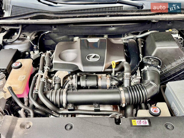 Сірий Лексус НХ, об'ємом двигуна 2 л та пробігом 55 тис. км за 20999 $, фото 78 на Automoto.ua