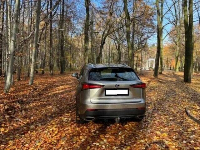 Сірий Лексус НХ, об'ємом двигуна 2 л та пробігом 53 тис. км за 17600 $, фото 2 на Automoto.ua