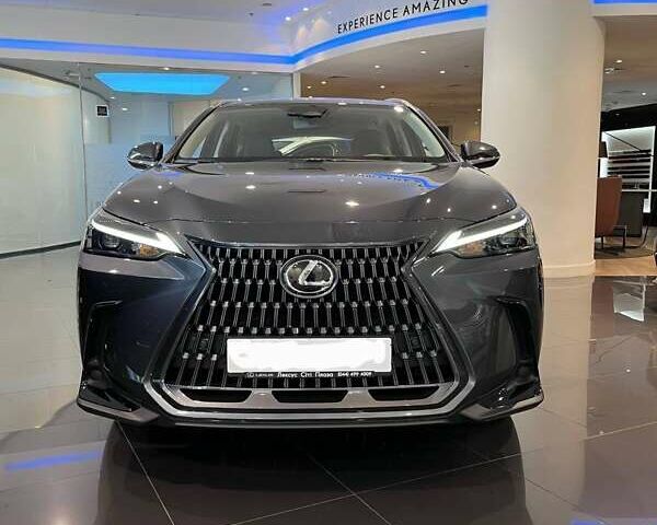 Сірий Лексус НХ, об'ємом двигуна 2.49 л та пробігом 17 тис. км за 53000 $, фото 1 на Automoto.ua