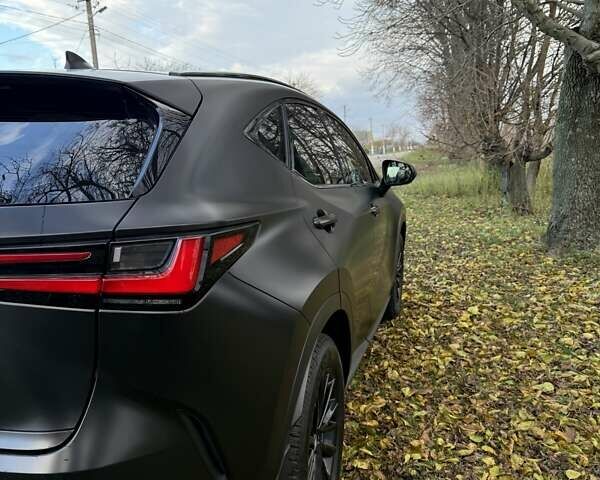 Серый Лексус НХ, объемом двигателя 2.49 л и пробегом 28 тыс. км за 46500 $, фото 12 на Automoto.ua