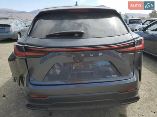 Серый Лексус НХ, объемом двигателя 2 л и пробегом 82 тыс. км за 28000 $, фото 8 на Automoto.ua
