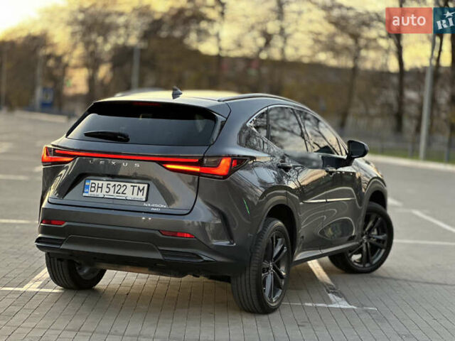 Серый Лексус НХ, объемом двигателя 2.49 л и пробегом 45 тыс. км за 49900 $, фото 14 на Automoto.ua