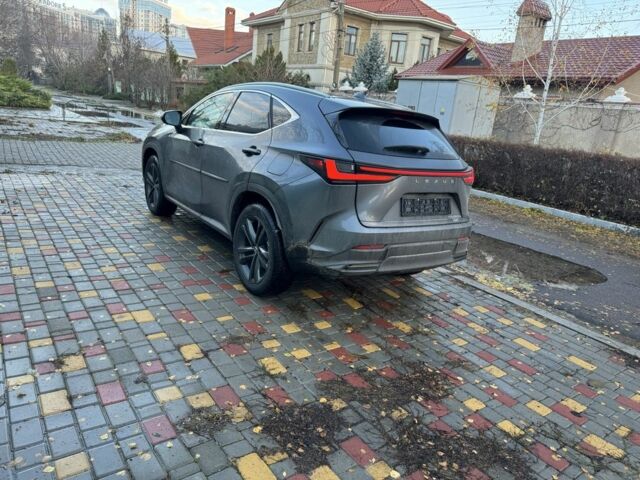 Серый Лексус НХ, объемом двигателя 2.5 л и пробегом 49 тыс. км за 55000 $, фото 3 на Automoto.ua
