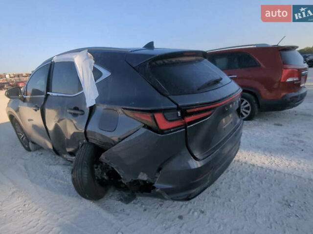 Серый Лексус НХ, объемом двигателя 2 л и пробегом 82 тыс. км за 28000 $, фото 17 на Automoto.ua