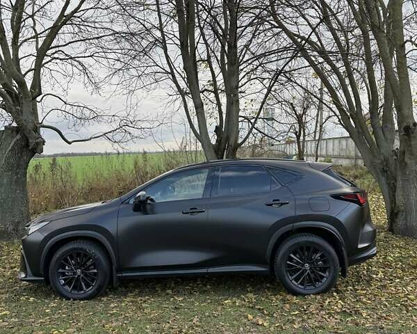 Серый Лексус НХ, объемом двигателя 2.49 л и пробегом 28 тыс. км за 46500 $, фото 14 на Automoto.ua