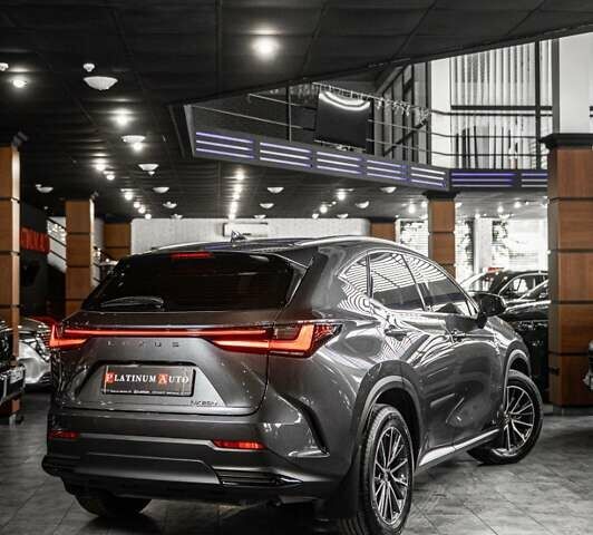 Серый Лексус НХ, объемом двигателя 2.49 л и пробегом 15 тыс. км за 51900 $, фото 20 на Automoto.ua