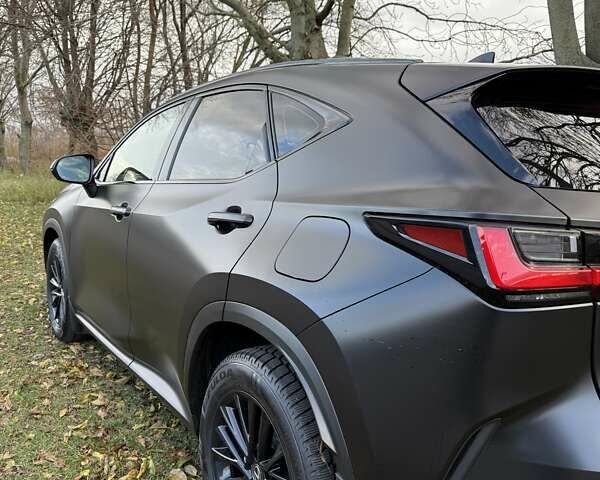 Серый Лексус НХ, объемом двигателя 2.49 л и пробегом 28 тыс. км за 46500 $, фото 13 на Automoto.ua