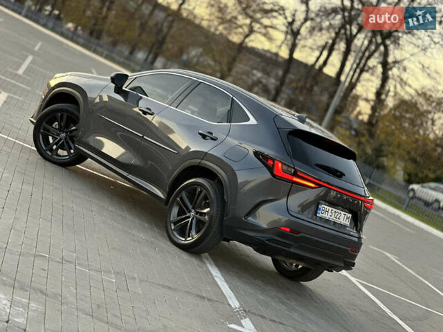 Серый Лексус НХ, объемом двигателя 2.49 л и пробегом 45 тыс. км за 49900 $, фото 9 на Automoto.ua