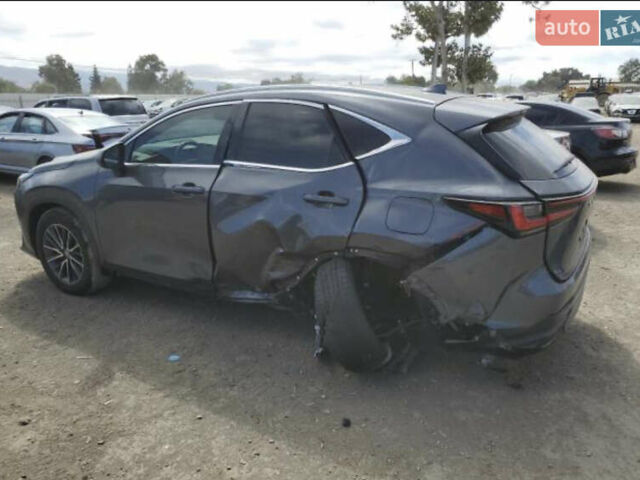 Серый Лексус НХ, объемом двигателя 2 л и пробегом 82 тыс. км за 28000 $, фото 6 на Automoto.ua