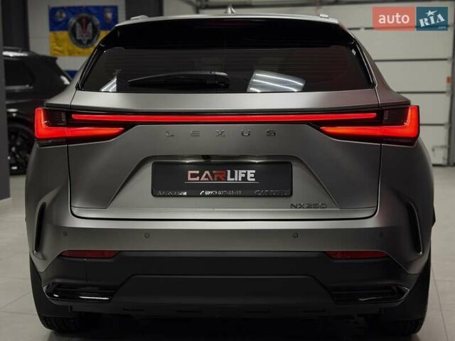 Серый Лексус НХ, объемом двигателя 2.49 л и пробегом 8 тыс. км за 54500 $, фото 20 на Automoto.ua